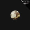 FORTUNA a radical bravery (POL rmx) feat asia argento